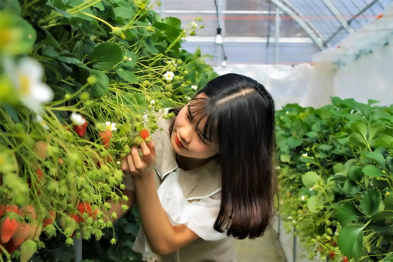 2025年日化行业新规对儋州零售市场洗护用品供应的影响